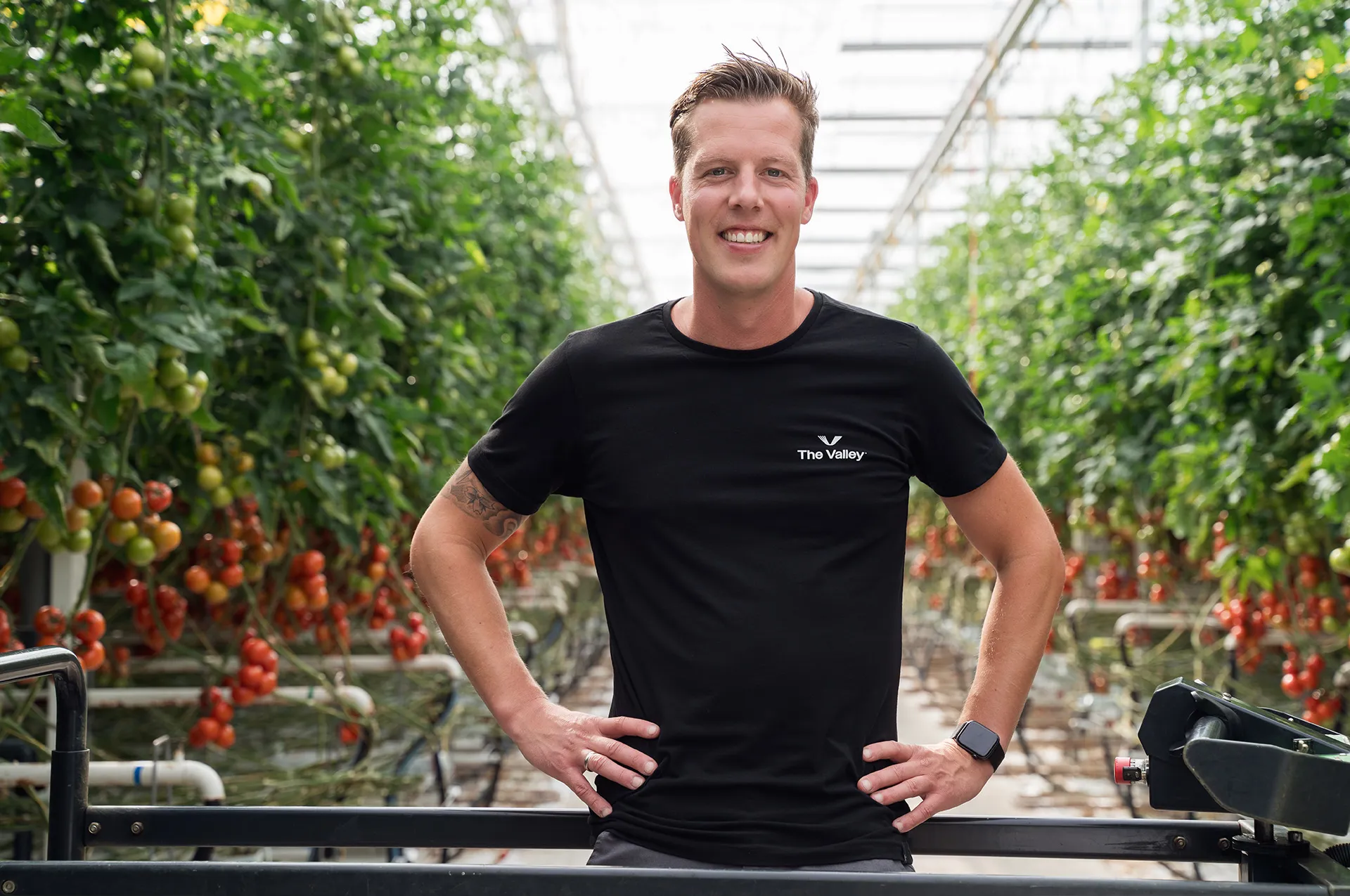 [
  {
    "culture": "nl",
    "text": ""
  }
]