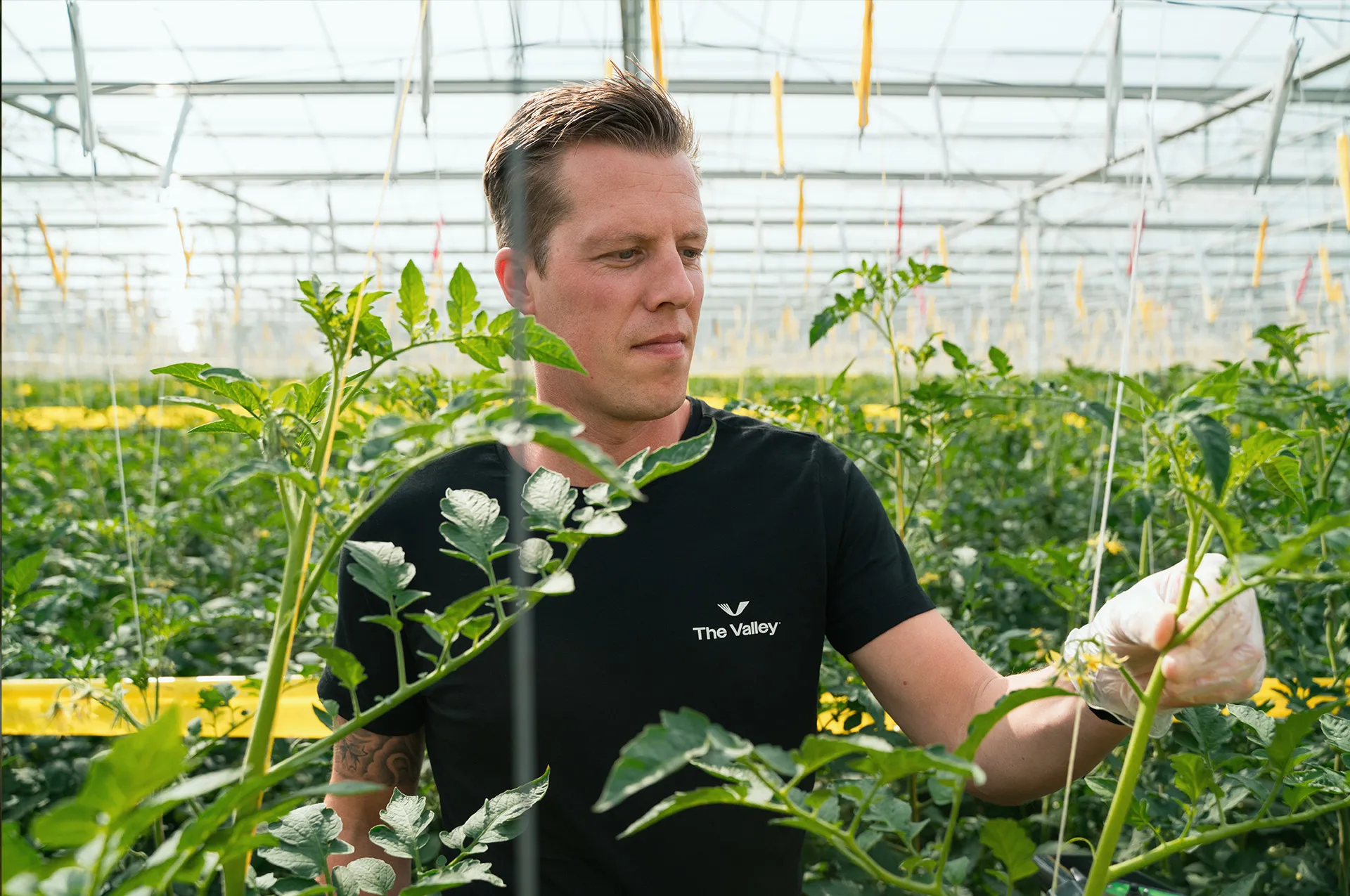 [
  {
    "culture": "nl",
    "text": ""
  }
]